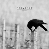 Provoker - The Long Defeat (Explicit)
