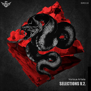 Various Artists - Selections V2