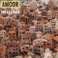 Amcor - Breakdown