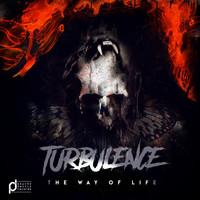 Turbulence - The Way of Life