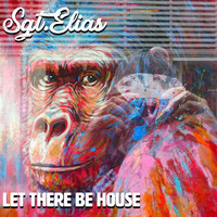 Sgt.Elias - Let There Be House