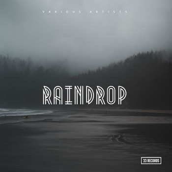 Various Artists - Raindrop