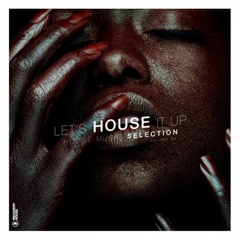 Various Artists - Let's House It Up, Vol. 30