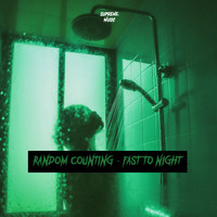 Random Counting - Fast To Night