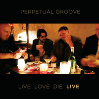 Perpetual Groove - Livelovedie (Live)
