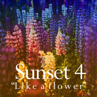 Sunset 4 - Like a Flower
