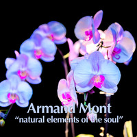 Armand Mont - Natural Elements of the Soul