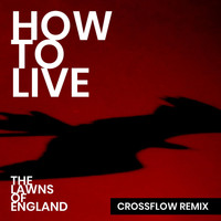 How to Live - The Lawns of England (Crossflow Remix)