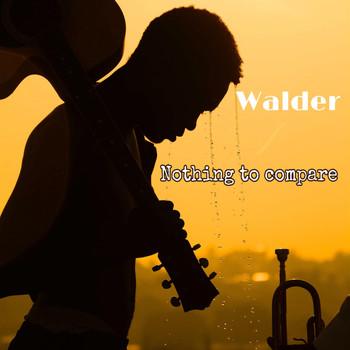 Walder - Nothing to Compare