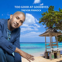Trevor Pinnock - Too Good at Goodbyes