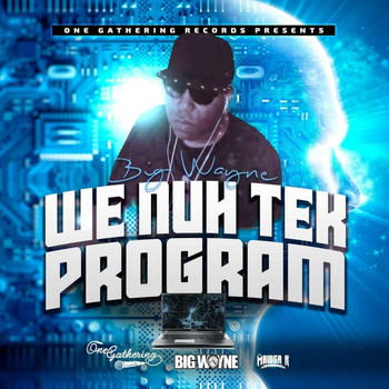 Big Wayne - We Nuh Tek Program