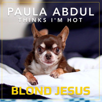 Blond Jesus - Paula Abdul Thinks I'm Hot