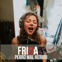 Frida - Perro Mal Herido