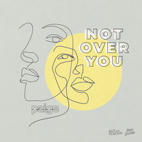 Paige - Not Over You