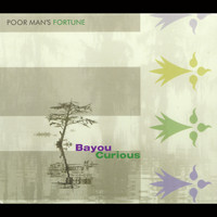 Poor Man's Fortune - Bayou Curious