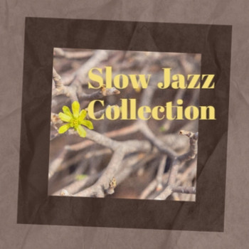 Various Artist - Slow Jazz Collection