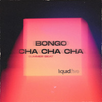 liquidfive - Bongo Cha Cha Cha (Summer Beat)