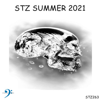 Various Artists - STZ Summer 2021
