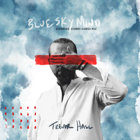 Trevor Hall - blue sky mind (extended Johnny Cosmic mix)