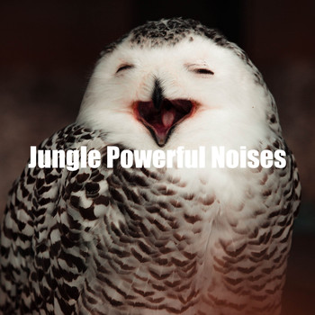Soothing Nature Sounds - Jungle Powerful Noises