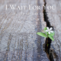 Giuseppe Sbernini - I Wait for You