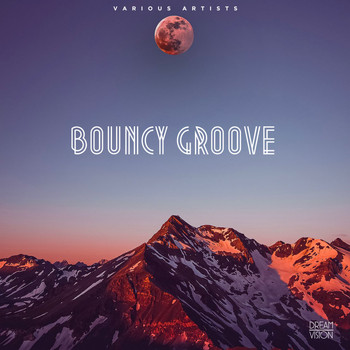 Various Artists - Bouncy Groove