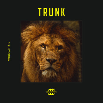 Various Artists - Trunk