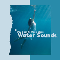 Water Sounds Music Zone - Way Back to Deep Sleep: Soothing Water Sounds to Sleep, Insomnia Aid Music (Sea, River, Waterfall)