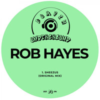 Rob Hayes - Sheezus