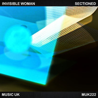Invisible Woman - Sectioned