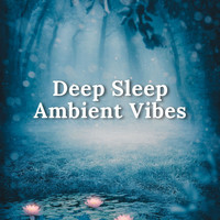 Sleep Aid Club - Deep Sleep Ambient Vibes