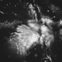 Lunae - Give in and Get Lost