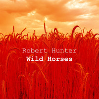Robert Hunter - Wild Horses