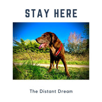The Distant Dream - Stay Here