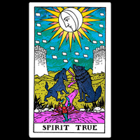 Scott Hirsch - Spirit True