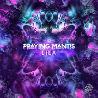 Praying-Mantis - Lila