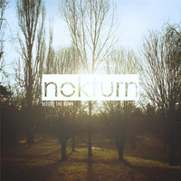 Nokturn - Before the Dawn
