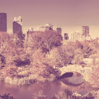 New York City Jazz Playlists - Feelings for Central Park