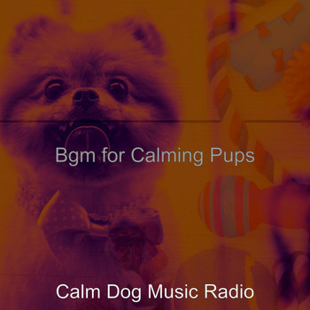 Calm Dog Music Radio - Bgm for Calming Pups
