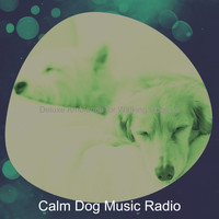 Calm Dog Music Radio - Deluxe Ambiance for Walking Doggies