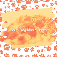 Calm Dog Music Radio - Music for Calming Pups - Warm Piano