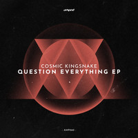 Cosmic Kingsnake - Question Everything EP