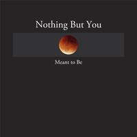 Nothing but You - Meant to Be