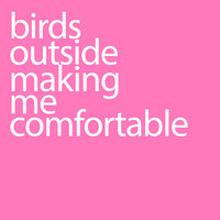 Sit - birds outside making me comfortable
