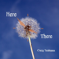 Craig Taubman - Here & There