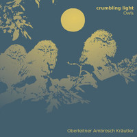 Owls - Crumbling Light