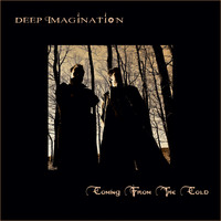 Deep Imagination - Coming from the Cold