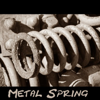Prodigal Puffins / - Metal Spring