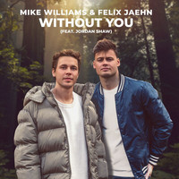 Mike Williams, Felix Jaehn - Without You