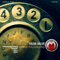 Tolga Diler - I Hear You Calling